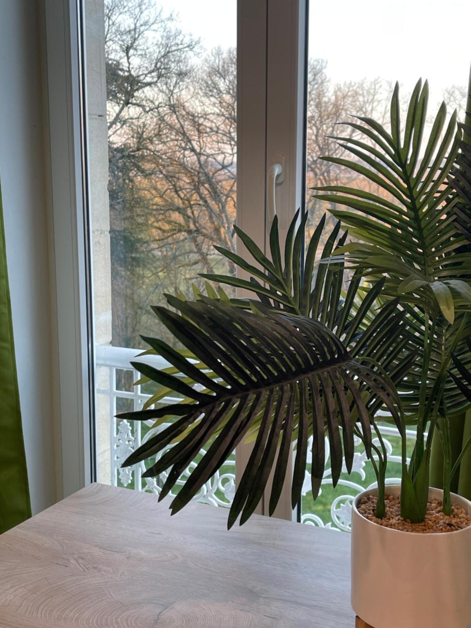 T2 De Charme Dans Un Chateau Layrac Extérieur photo